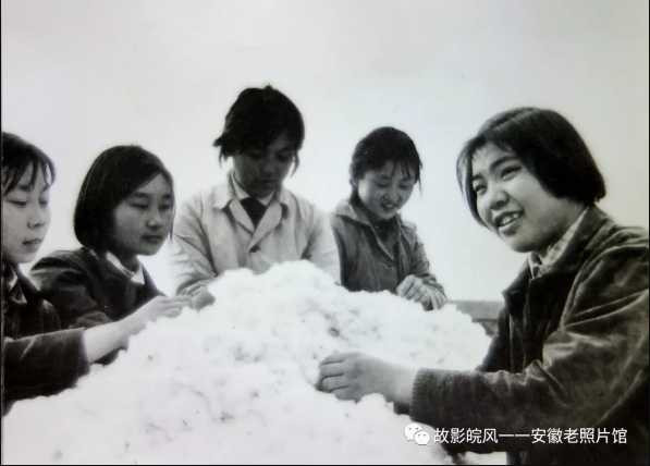 独家影像:安徽70年代的“知青”岁月