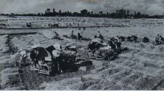 毛泽东社会主义光明道路——农业合作化运动