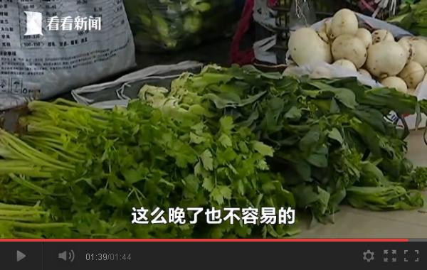 视频｜可怜天下父母心！老太寒夜摆摊卖菜只为替儿还债