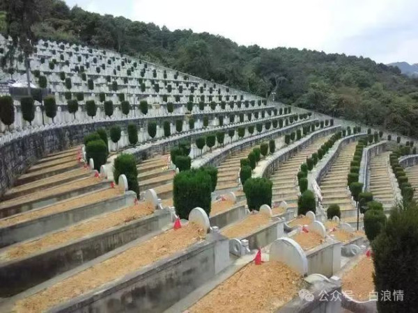 千里寻儿奔老山