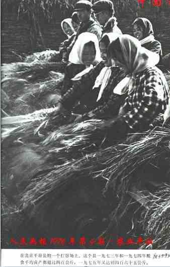 中华民族的子孙应当知道的关于毛主席的十四个谬论