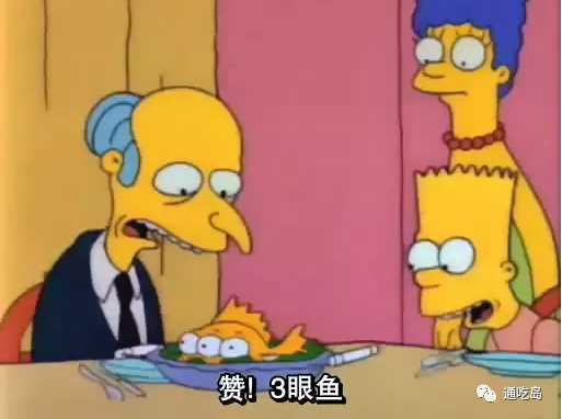 政治素人、恶名昭著的资本家竞选，获得红脖子支持，最后关头因突发事件惜败