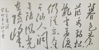 付欣宇：健笔凌云意纵横——隆重纪念毛主席诞辰130周年