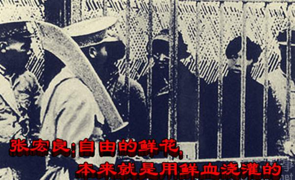 张宏良：自由的鲜花，本来就是用鲜血浇灌的