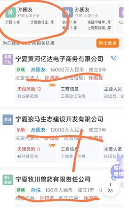 申鹏：治沙的愚公，还是逐利的商人？