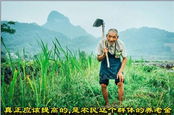 真正应该提高的，是农民这个群体的养老金
