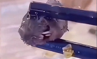 子午：鼠头鸭脖事件，老板的“饭碗”能砸不？