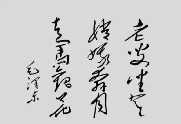 壮丽的画卷 伟大的纲领