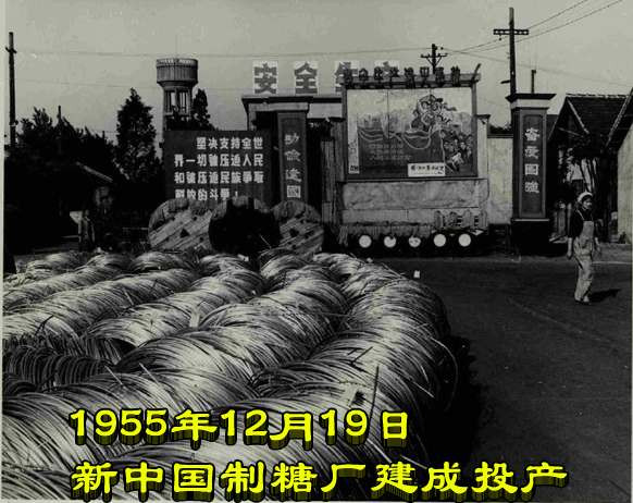 1955年12月19日　新中国制糖厂建成投产