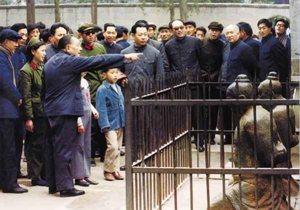 伟人风范——从两个家族看真伪共产党