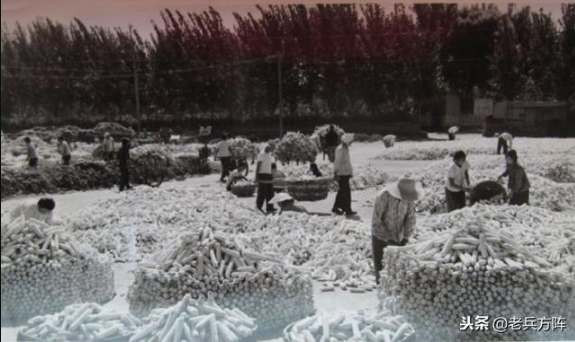 新中国70年代初期欣欣向荣的农村人民公社