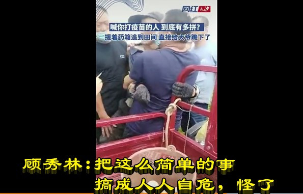 顾秀林:把这么简单的事搞成人人自危，怪了