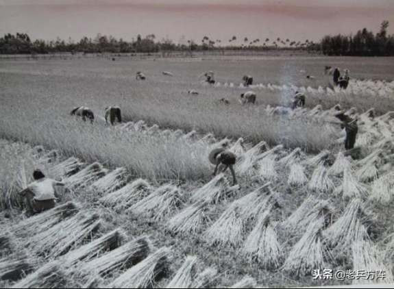 新中国70年代初期欣欣向荣的农村人民公社