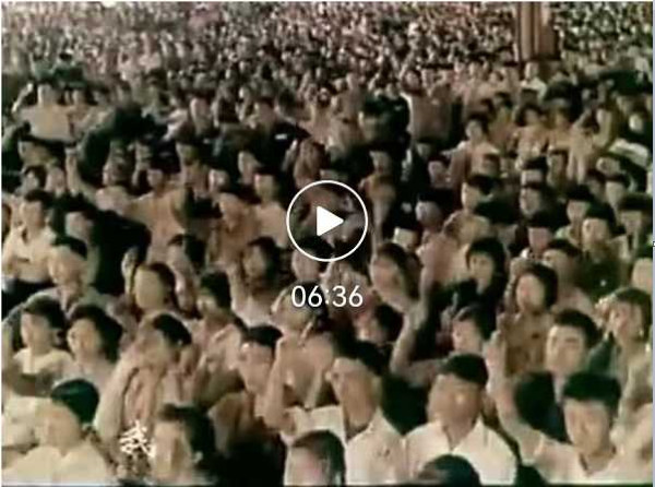上海知青烈士遗言：金训华不是我自己的，而是党和人民的