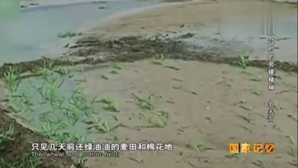 九次见到毛主席的公社书记——史来贺