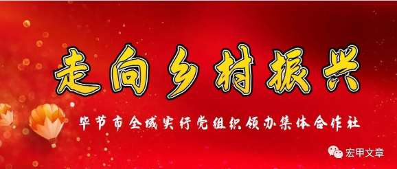 张文茂：用文学形式阐述新发展理念