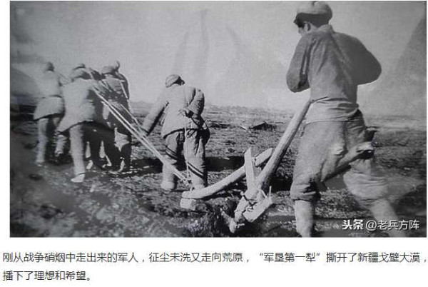 毛泽东时代新疆生产建设兵团纪实老照片