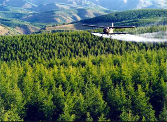 看到塞罕坝的老照片，我落泪了