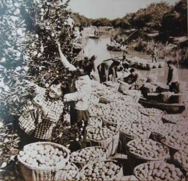 老照片：新中国70年代初期欣欣向荣的农村人民公社