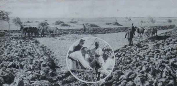 毛泽东社会主义光明道路——农业合作化运动