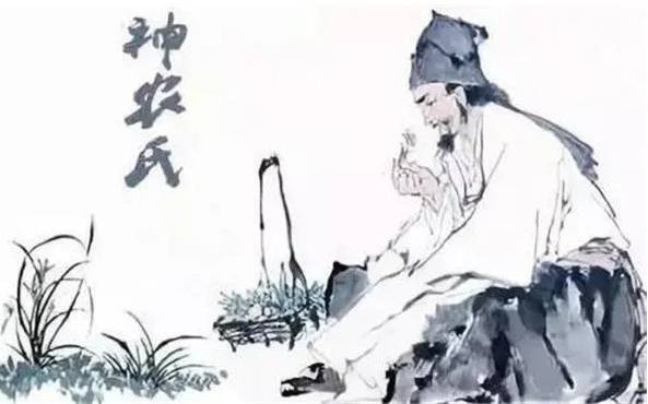 中医，外国人明学暗偷，中国人弃如敝履，你说可笑不可笑？