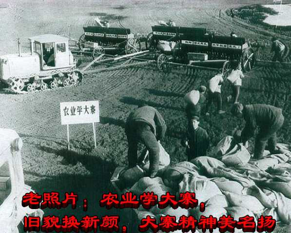 老照片:农业学大寨,旧貌换新颜,大寨精神美名扬