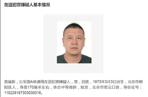 涉黑家族一家28个官员！如何打破“关系网”拔出“保护伞”？