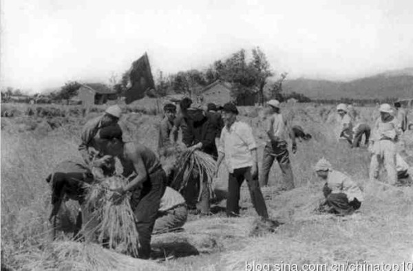 新中国工业革命与世界工业化回眸（五）