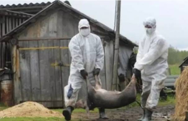 周小平：去年12月的无人机投放病毒案件应重新审理，事出反常必有妖