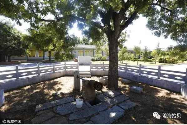 以毛泽东思想为指针坚定不移走社会主义道路的楷模