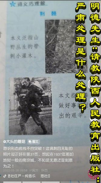 明德先生｜请教陕西人民教育出版社：严肃处理是什么处理？