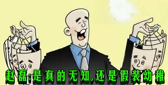 赵磊:是真的无知,还是假装幼稚