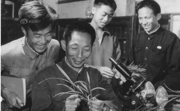 中华民族的子孙应当知道的关于毛主席的十四个谬论