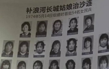 申鹏：治沙的愚公，还是逐利的商人？