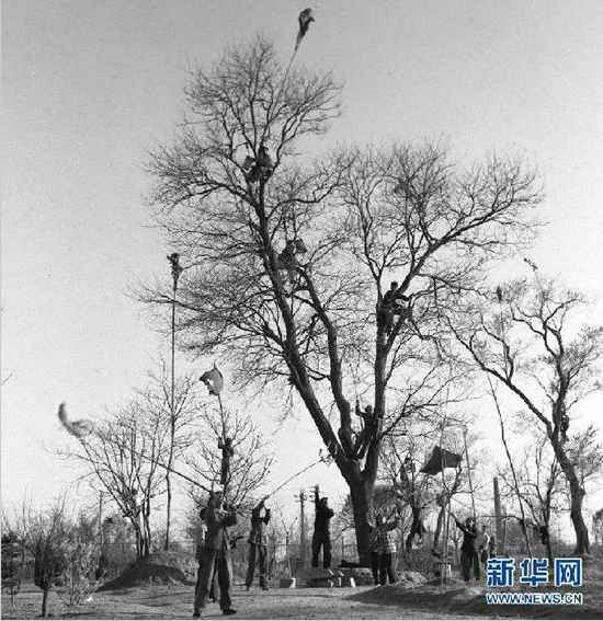 改革开放前的真实中国民生