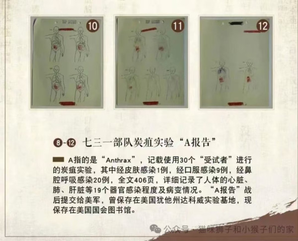 不要饶恕鬼子，不要成为鬼子——观《南京照相馆》有感
