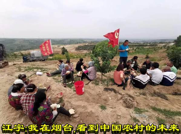 江宇:我在烟台,看到中国农村的未来