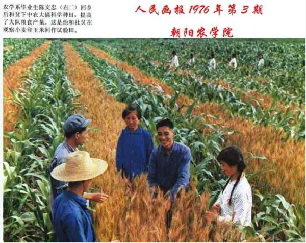 中华民族的子孙应当知道的关于毛主席的十四个谬论