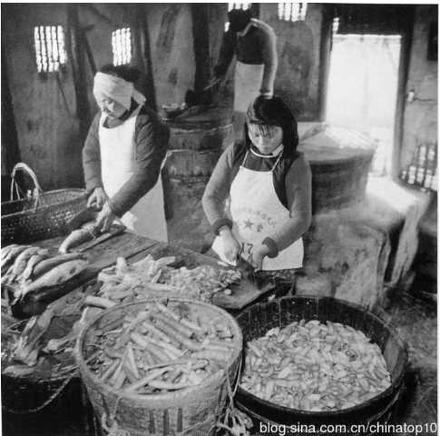 工业革命——世界工业化三百周年回眸（十五）