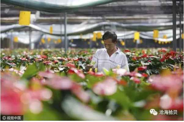 以毛泽东思想为指针坚定不移走社会主义道路的楷模