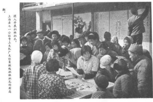 1974年上海郊区农业学大寨，农业要上去，根本在路线