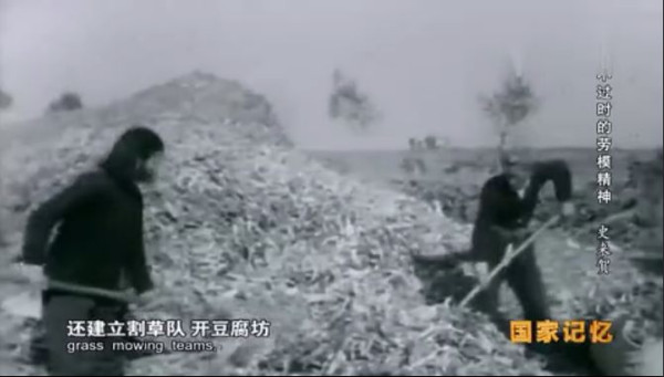 九次见到毛主席的公社书记——史来贺