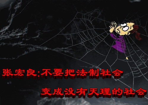 张宏良：不要把法制社会变成没有天理的社会