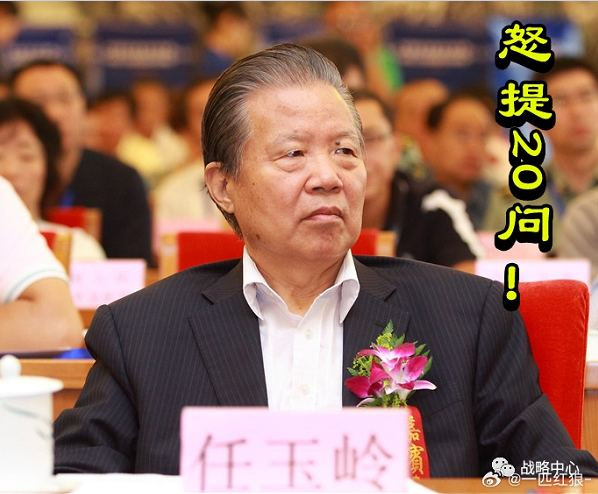 怒提20问！