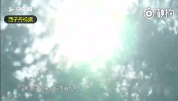 刘青山后人回忆往事