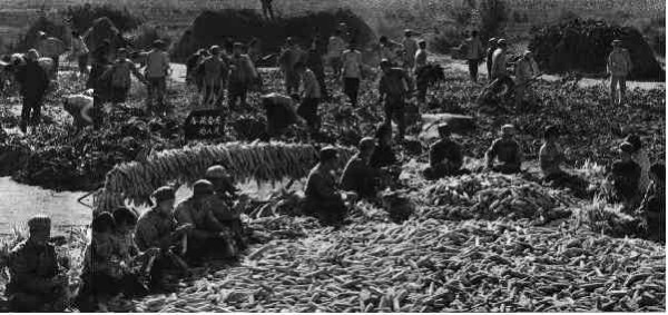 激情岁月！共和国留下父辈们创业的足印（14）