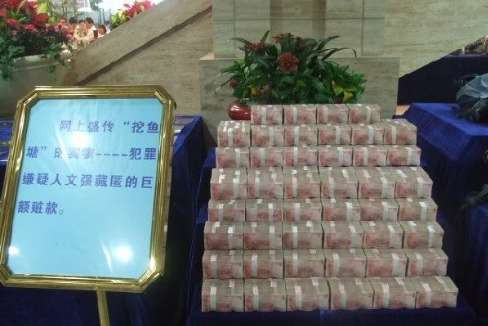 震撼人心的中国打黑纪实