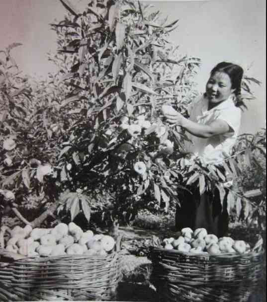 老照片：新中国70年代初期欣欣向荣的农村人民公社