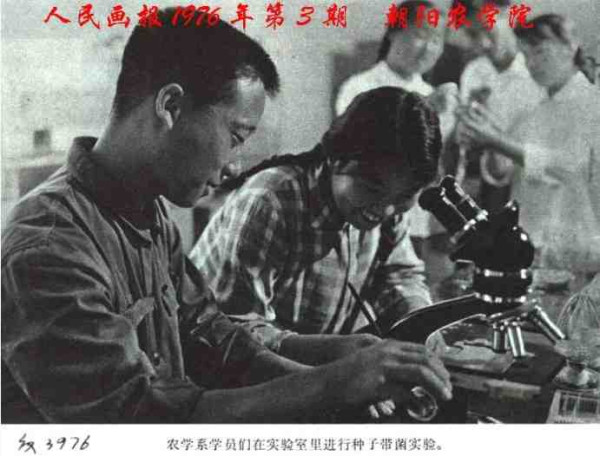 中华民族的子孙应当知道的关于毛主席的十四个谬论