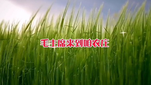 和少先队员一起了解十月公社毛主席像的来历：谁还能把毛主席和老百姓隔开呢？